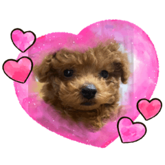 yugecchi_20230222120019