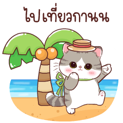 Meetung Cat Summer V.Thai