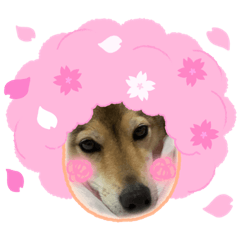 yuuko_20230223083103