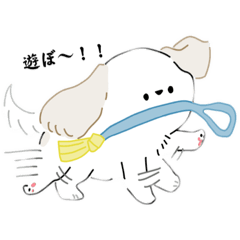 Nozomi_20230222184014