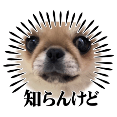 YUTO_20230223013851