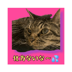 トキスタンプ第2弾