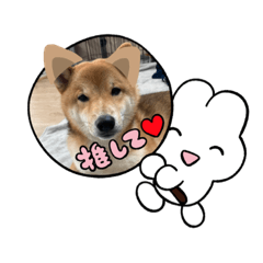yuto_20230222195849