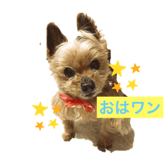 megumi_20230223012317