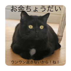 saori_20230222183010