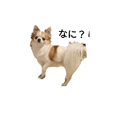 kooooo_20230222225827