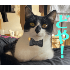 Kanze_20230222230251