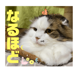 Kanze_20230222230224