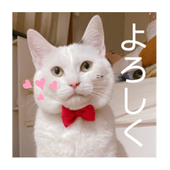 Kanze_20230222230135