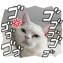 suzu_20230222225532