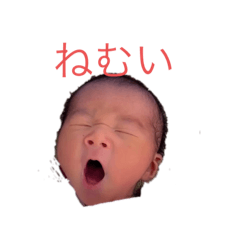 Aoi_20230222213847
