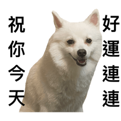 Yeh_20230223011012 – LINE stickers | LINE STORE