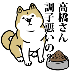 高橋リスペクト（プラチナ）