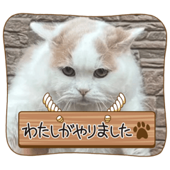 hikaru_20230223