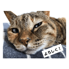 RURU_20230222201547