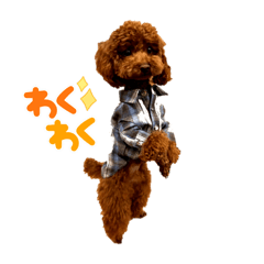 NAO_20230223005759