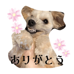 nao_20230223135643