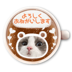 Yuka_20230223135850