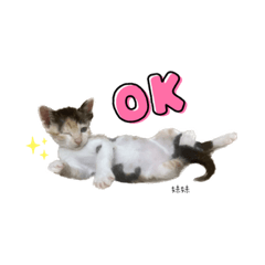 萌番篇