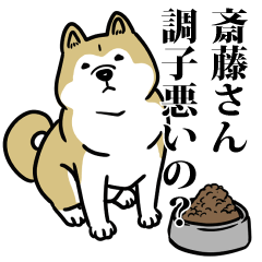 斎藤リスペクト（プラチナ）