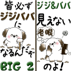 【BIG】動物ふれんず 2『じじばばちゃん』