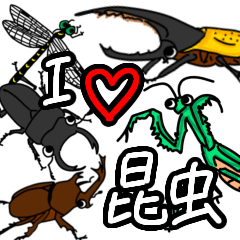 insects LOVE