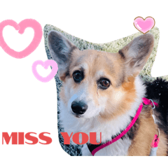 Coco & Mocha Adventure