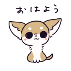 Smooth Chihuahua animation (Fawn&White)