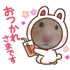 alice_20230223154216