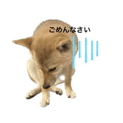 koumeme_20230224085031