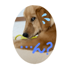 nozomi_20230223171455