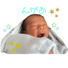 omo_20230223203449