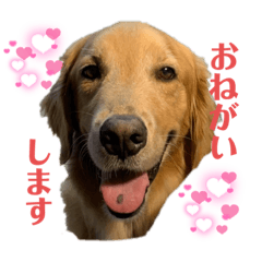 kana_20230223211218