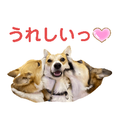 alice_20230223211404