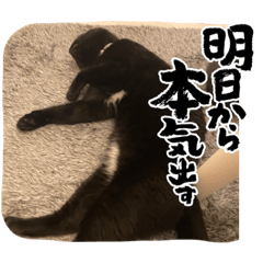 natsumi_20230223175052