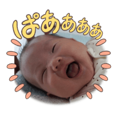 puku_20230223174529