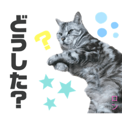 natsumi_20230223214545