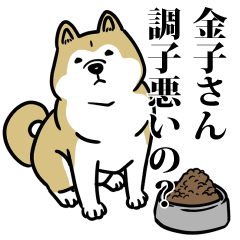 金子リスペクト（プラチナ）