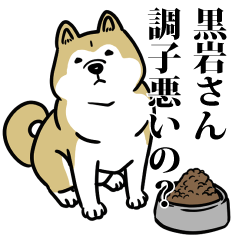 黒岩リスペクト（プラチナ）