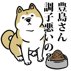 豊島リスペクト（プラチナ）