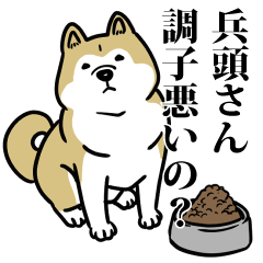 兵頭リスペクト（プラチナ）