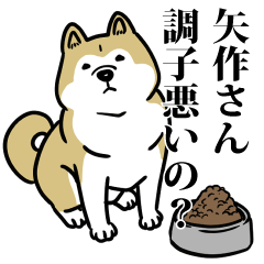 矢作リスペクト（プラチナ）