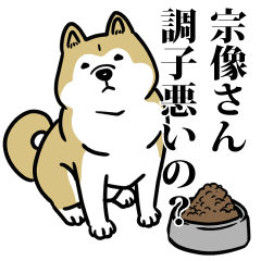 宗像リスペクト（プラチナ）