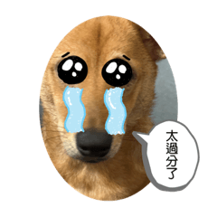 阿諾諾阿桃桃