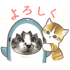 Risa_202302240043332323