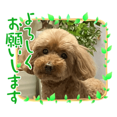 SAYURI_20230223190952