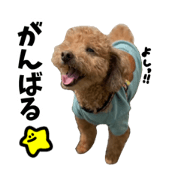 erimaki tokage_20230223220734