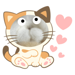 tomomi_20230223233241
