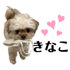 Natsumi_20230224131704