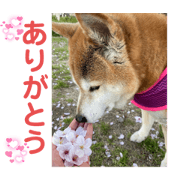 mumumu_20230224133324